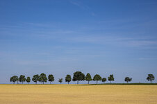 P7170003_raw_x32_1280.jpg P7170003_raw_x32_1280.jpg