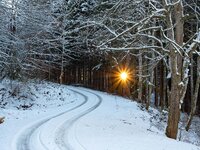 P1120031_raw_1280.jpg P1120031_raw_1280.jpg