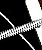 MSC_2738_3.jpg MSC_2738_3.jpg