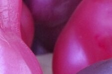 IMG_0990aa.JPG
