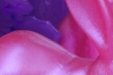 IMG_0990aaa.JPG