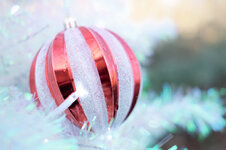 18460746-DE90-48E2-9B0C-5351B9CBFCF6.jpeg