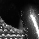 P1190368aa.JPG P1190368aa.JPG