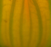 9.8-A-L-188R.jpg