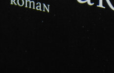 DSC_0310R2.jpg