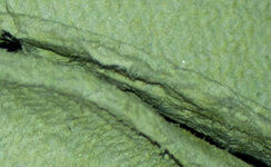 DSC_0294R1.jpg