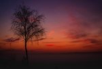 DSC02975.jpg