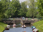 IMG_1137.jpg