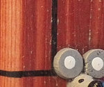 1381C7FF-9A15-455F-8B05-9D1E68D80E0E.jpeg