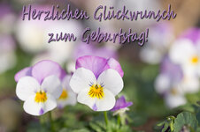 Für Heidi 2.jpg