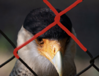 Bildschirmfoto 2023-03-29 um 13.53.30.png Bildschirmfoto 2023-03-29 um 13.53.30.png