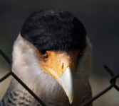 Bildschirmfoto 2023-03-29 um 13.54.52.png Bildschirmfoto 2023-03-29 um 13.54.52.png