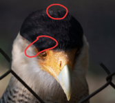 Bildschirmfoto 2023-03-29 um 13.54.52m.png Bildschirmfoto 2023-03-29 um 13.54.52m.png