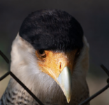 Bildschirmfoto 2023-03-29 um 14.02.31.png Bildschirmfoto 2023-03-29 um 14.02.31.png