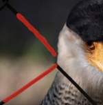 Bildschirmfoto 2023-03-29 um 14.04.46.png Bildschirmfoto 2023-03-29 um 14.04.46.png