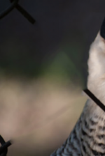 Bildschirmfoto 2023-03-29 um 14.06.30.png Bildschirmfoto 2023-03-29 um 14.06.30.png