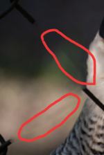 Bildschirmfoto 2023-03-29 um 14.06.30m.png Bildschirmfoto 2023-03-29 um 14.06.30m.png