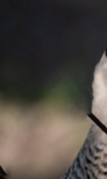 Bildschirmfoto 2023-03-29 um 14.14.29.png Bildschirmfoto 2023-03-29 um 14.14.29.png