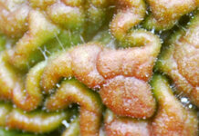 08.04-Hohkeppel-142R1.jpg 08.04-Hohkeppel-142R1.jpg