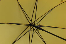 IMG_3315_2.JPG