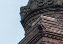 DSC_7664g2R4.jpg