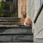 IMG_1647.JPG IMG_1647.JPG