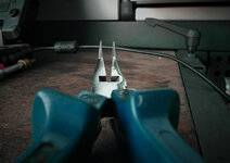 IMG_1536.JPG IMG_1536.JPG