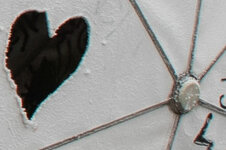 IMGP8465.jpg