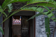 IMGP6043.jpg IMGP6043.jpg