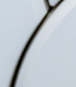 DSC_0526R4.jpg