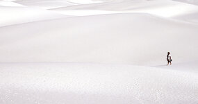 Ganz allein_DSC02226.jpg Ganz allein_DSC02226.jpg