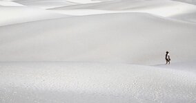 White Sands 1.jpg