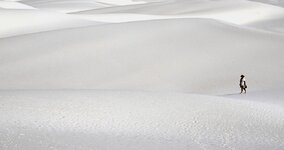 White Sands 1.jpg White Sands 1.jpg