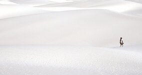 White Sands 2.jpg