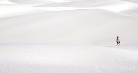 White Sands 2.jpg White Sands 2.jpg