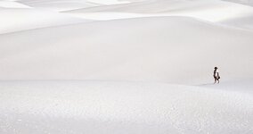 White Sands 3.jpg