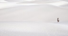 White Sands 3.jpg White Sands 3.jpg