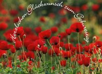 Glückwunsch-Mohn.jpg