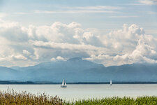 2P9A7298-1-2 auflösung.jpg 2P9A7298-1-2 auflösung.jpg