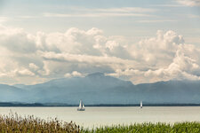 2P9A7298-1 auflösung.jpg 2P9A7298-1 auflösung.jpg