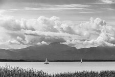 2P9A7298-1-3 auflösung.jpg