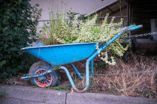 IMG_2359.jpeg