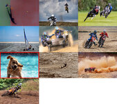 liebling_23_3_raster.jpg liebling_23_3_raster.jpg