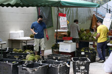 16a Durian.jpg 16a Durian.jpg