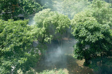 22a Schädlingsbekämpfung.jpg 22a Schädlingsbekämpfung.jpg