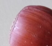 2023-11-19-Rätzeldetail.jpg