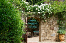 Glückwuinsch Eva 2023-01-02.jpg