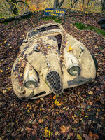 Jaguar - Autoskulpturenpark Neandertal.jpg