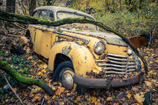 Limousine 2 - Autoskulpturenpark Neandertal.jpg