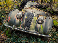 Limousine England - Autoskulpturenpark Neandertal.jpg